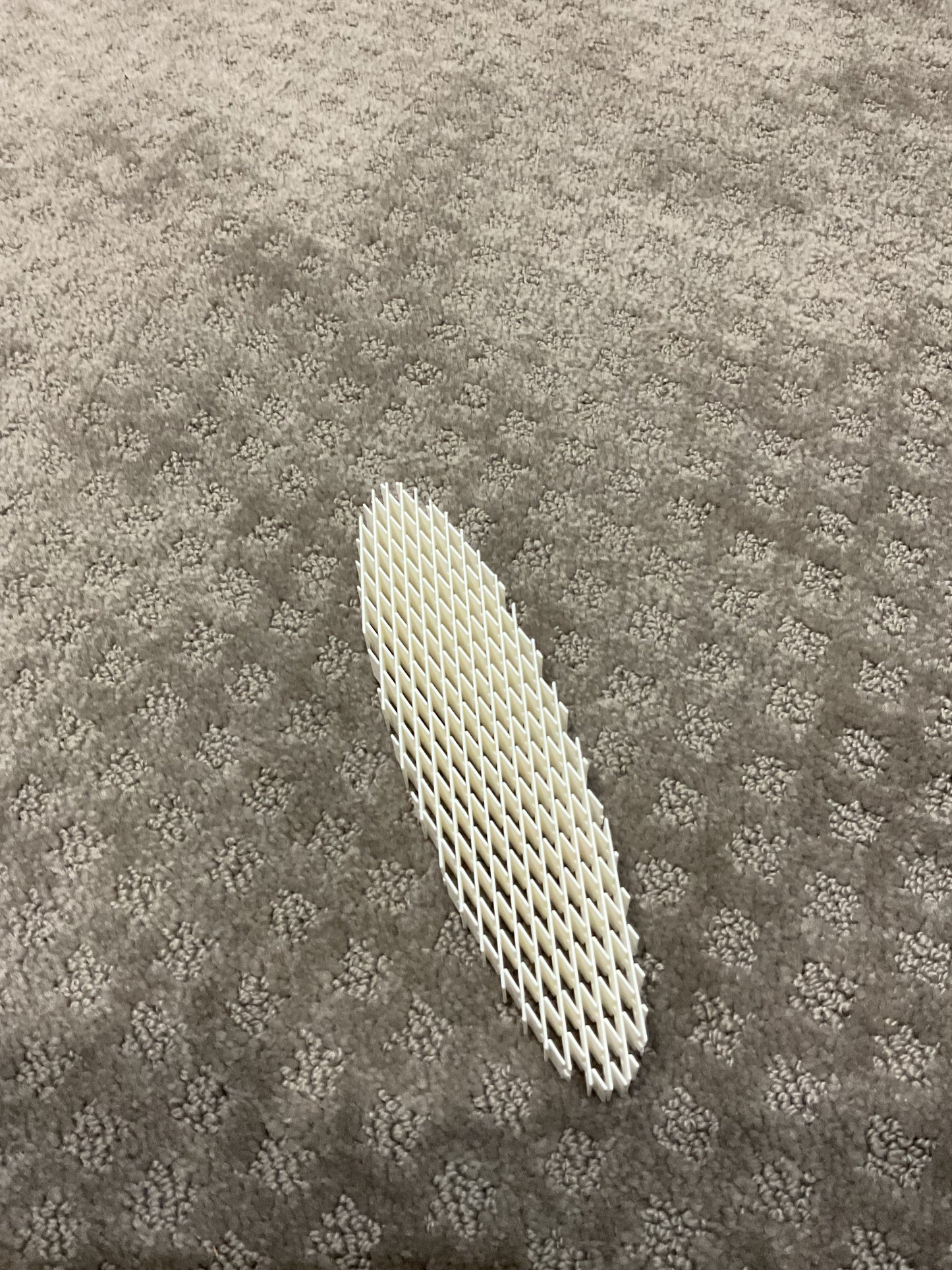 Fidget worm