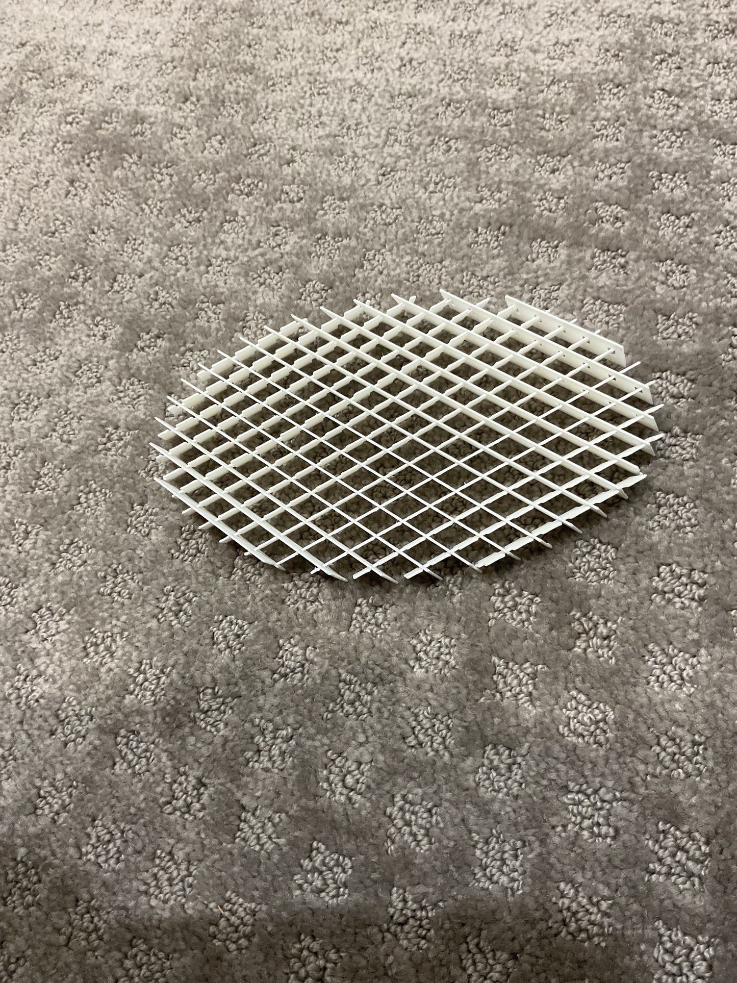 Fidget worm