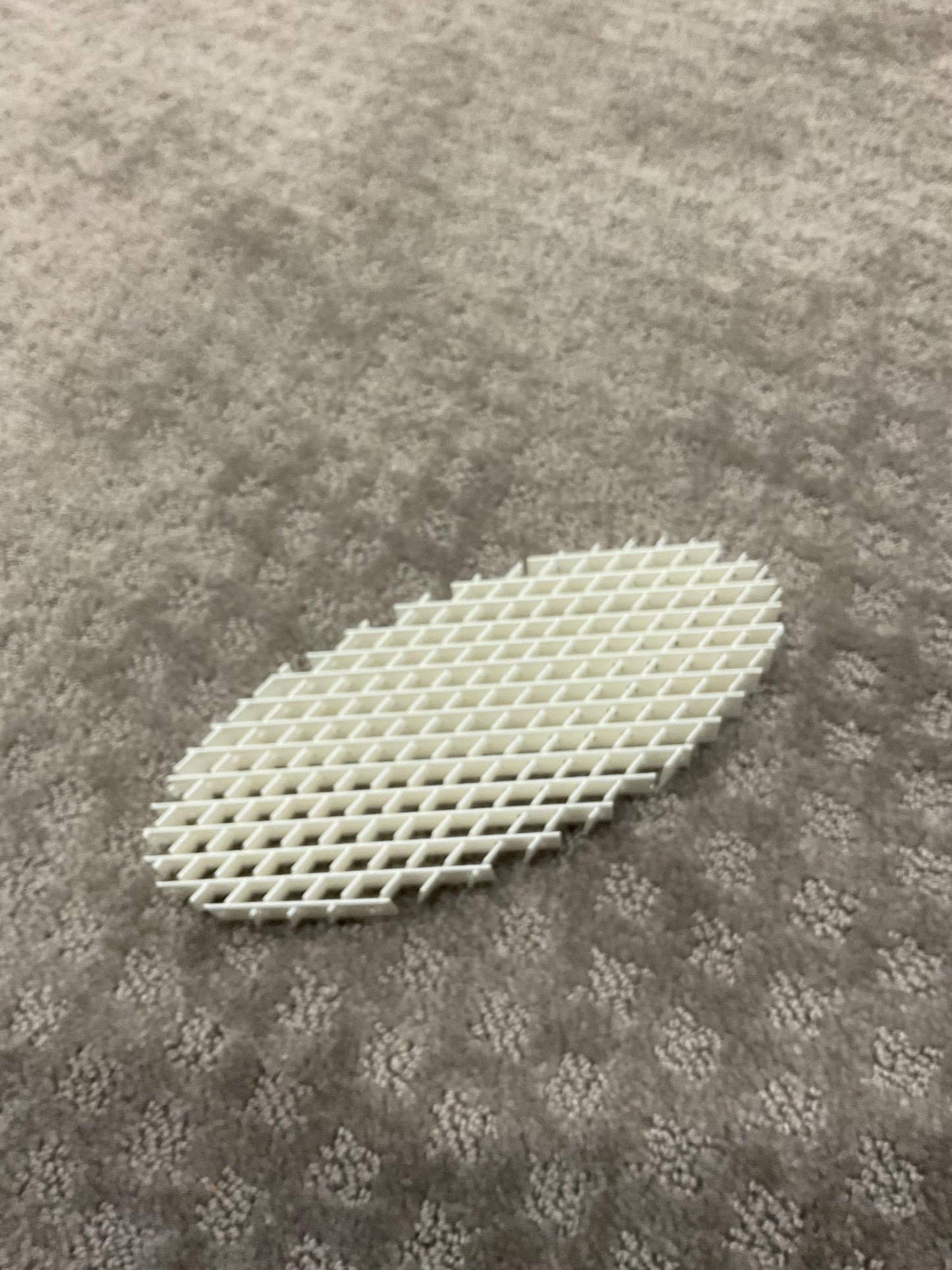 Fidget worm